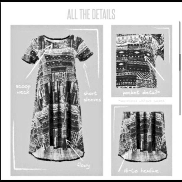 LuLaRoe Original Carly Dress - Picture 5 of 6